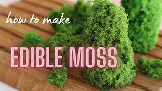 HOW TO MAKE EDIBLE MOSS  Edible moss sponge [upl. by Harald]