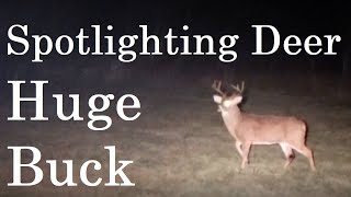 Spotlighting Deer  Huge Buck [upl. by Learrsi]