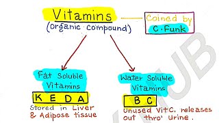 VITAMINS DEFICIENCY DISEASES  LEC1  SCIENCE [upl. by Reivaj]