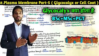 What is Cell Coat or Glycocalyx  Plasma Membrane Part5  BSc first Year  MSc  PGT  NEET [upl. by Sauer]