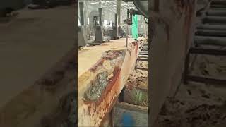 Old Sawmills in Australia wood woodworker woodworking USA [upl. by Lledrac606]