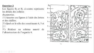 SVT  LA PROCREATION  EP1  la pilule combinée  Bac math et sc [upl. by Swithbert]