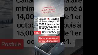 🇨🇦CANADA Salaire minimum au Canada [upl. by Rokach]