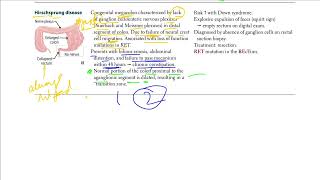 Hirschsprung Disease  USMLE STEP 1 [upl. by Ahsillek]