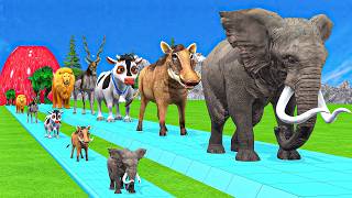 Paint amp Animals DuckGorillaLionElephantCowSheep Fountain Crossing Transformation Animal Cartoon [upl. by Cristal]