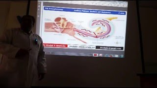 Auditory Pathway and Deafness PartI 22016 by Dr Khaled A Abulfadle [upl. by Necyla]