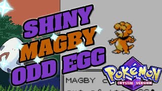 ODD EGG SHINY MAGBY in POKEMON CRYSTAL EPIC SHINY REACTION [upl. by Yrffej451]