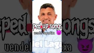 Uendel lagartixa🦎 speed eleições2022 tiktok meme musica humor [upl. by Lingwood]