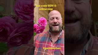 Watch my full personal review for a Gertrude Jekyll now and use code BEN15 davidaustinroses ￼ [upl. by Feune]