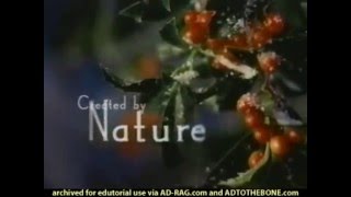 Glade  3 in 1 Holiday commercial  2000 [upl. by Aremahs]