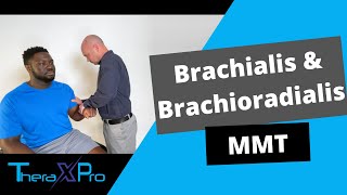 Manual Muscle Test  Brachialis and Brachioradialis [upl. by Boutis]