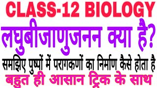 लघुबीजाणुजनन क्या है what is microsporogenesis LaghubijanuJanan Class 12 biology 2020 board [upl. by Bay645]