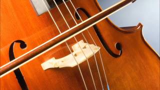 Bach Cello Suite No1 Olivier Pyo Remix [upl. by Arfihs]