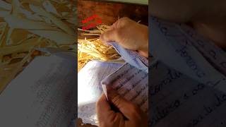 Rasgando papel ASMR shorts [upl. by Maite]