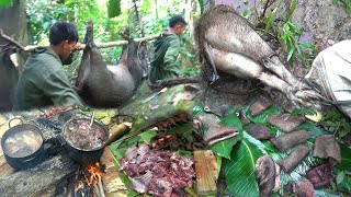 Wild Boar Hunting and Cooking in The MountainsYos hav zoov tua npua teb tua noog [upl. by Nisaj874]