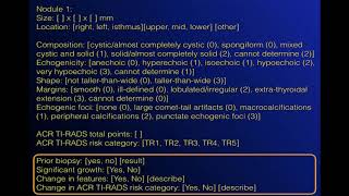 ACR TIRADS Structured reporting template [upl. by Guilbert300]