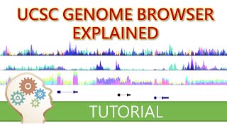 GET STARTED WITH THE UCSC GENOME BROWSER  What you need to know [upl. by Sky127]