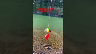 How To Easy Plunking setup for salmon and steelhead fishing pnw river tributary salmon fish [upl. by Elleyoj]