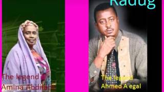 Wax laaan ha guursan Ahmed A Egal amina abdilahi [upl. by Murry225]