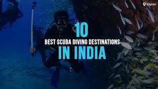 10 Cheapest Places For Scuba Diving In India  Scuba Diving In Goa Pondicherry Andaman  Tripoto [upl. by Fenn301]