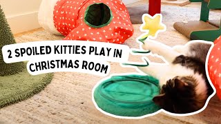 My 2 cats get SPOILED ROTTEN in their cat Christmas room  4K cat video [upl. by Acceb531]