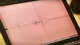 How Does a Seismometer Work [upl. by Anni]