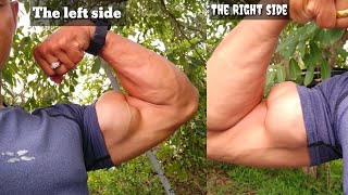 Best Biceps Flexing Ever K1A Fitman [upl. by Trey210]