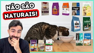 Rações Para Gatos Que Parecem NATURAIS Mas NÃO SÃO [upl. by Delaine]