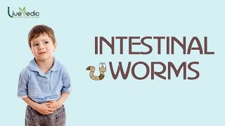 DIY Best Cure For Kids Intestinal Worms with Natural Home Remedies  LIVE VEDIC [upl. by Samuele900]