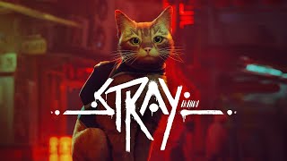 STRAY XBOX SERIES S TENTANDO ZERAR [upl. by Blatt]