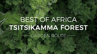 Discover the Tsitsikamma Forest  Best of Africa  Rhino Africa [upl. by Zetniuq]