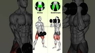 KNOW the DIFFERENCE Leg Workouts Explained for Maximum Gains [upl. by Kiele769]