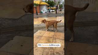 Caramela da BM 😂🐕 caramelo cachorro meme beiramar [upl. by Adnuahsor]