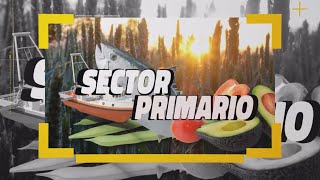 Sector Primario 30 de octubre de 2024 30 10 24 [upl. by Miarhpe]