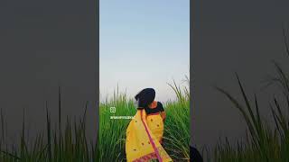 Asilu kotenu lukai 🥀💞💕Assamese song Assamese reels instagram reels [upl. by Eixirt]