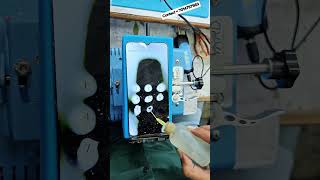 LCD heating spots garba live automobile youtubeshorts repair tech mobile [upl. by Anertak]