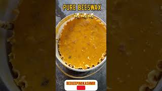 beeswaxattract beesscout bees  madhumakkhiyan local bees [upl. by Tri]