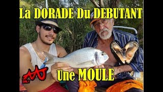 Comment pêcher la Dorade a la Moule la technique des anciens [upl. by Iatnahs244]