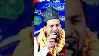 इसने भी मदीना देख लिया ajmat Raja bhagalpuri new naat [upl. by Anilec]