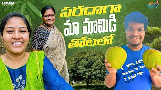 సరదాగా మా మామిడి తోటలో  MukkuAvinashOfficial  Tamada Media [upl. by Leoni]