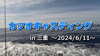 カツオキャスティング in三重 [upl. by Bradwell]