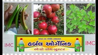 IMC AGRO GROWTH BOOSTERSUDIP SUTHAR  IMC BUSINESS PRODUCTS IMC AGRO BOOSTER [upl. by Dlorad]