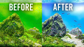 HOW TO Choose the Best Filter to Keep Your Aquarium Clean [upl. by Nyraf]