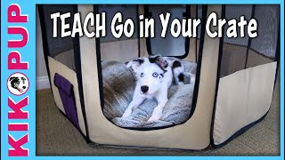 Teach Go in Your Crate [upl. by Acima]