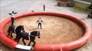 Jockey Reiterei  Equestrian Vaulting [upl. by Assenov]