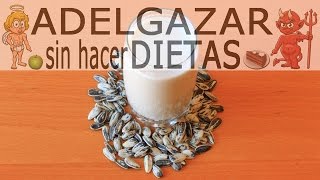 LECHE DE GIRASOL  ADELGAZAR SIN HACER DIETAS [upl. by Chasse]