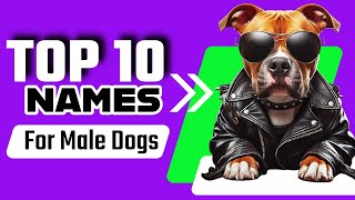 TOP 10 Names for Your MALE DOG Breed Personality and Meaning [upl. by Edelstein]