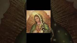 La Virgen de Guadalupe  El Misterio Detrás de su nombre [upl. by Frasco156]