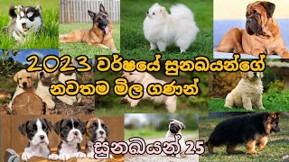 Dogs price in sri lanka True Price For Best 25 Dog Breeds In sri lanka  New price 2023 [upl. by Eissoj]