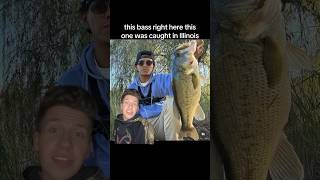 Fishing tips for Bass AC fishing largemouthbass bassfishing [upl. by Suirtimid]